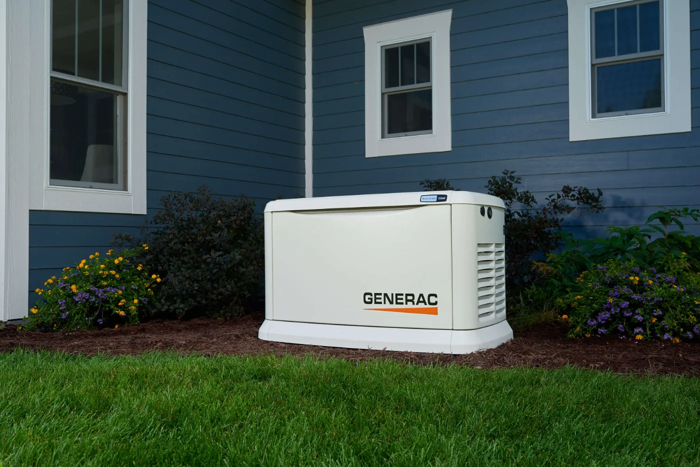 Panel and transfer switch, Sugar Land